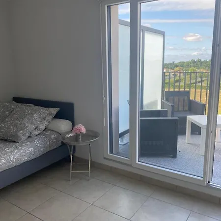 : Studio Cosy Daire